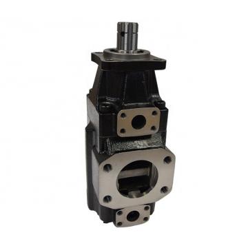 DENISON T6EC-062-014-2R00-C100 vane pump
