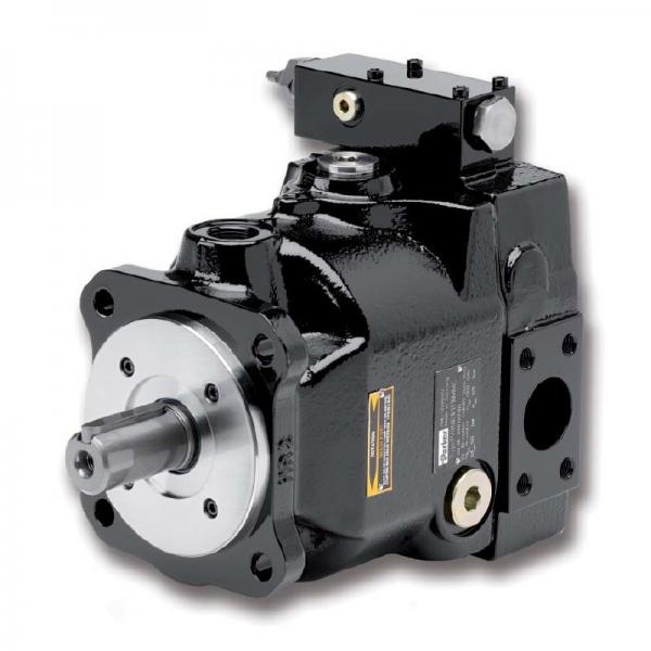 PAKER YB1-10 Piston Pump #2 image