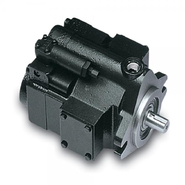 PAKER YB1-10 Piston Pump #1 image