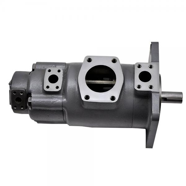 Yuken  PV2R34-125-237-F-RAAA-31 Double Vane pump #2 image